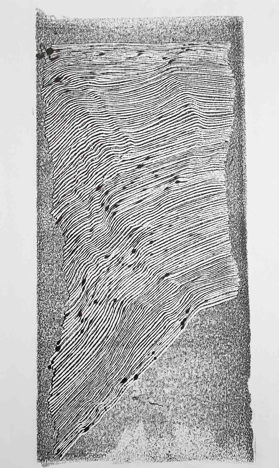 Histoires de lignes, oeuvre viviane rabaud, encre, dessin au stylo bic